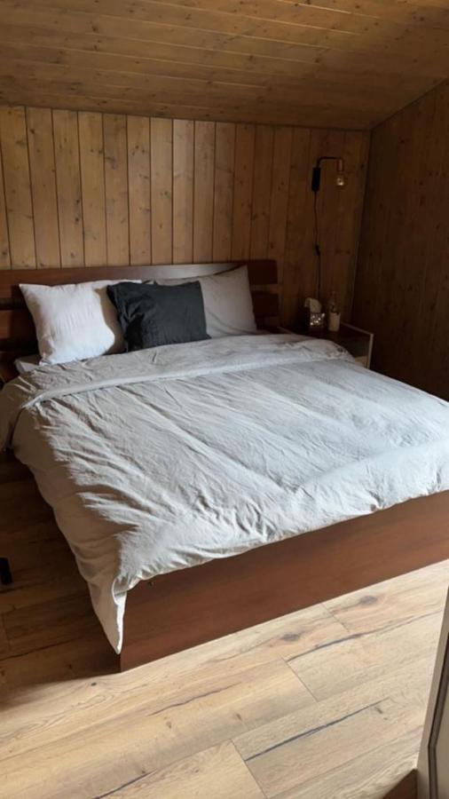 Chalet Luxueux Châtel Exteriér fotografie